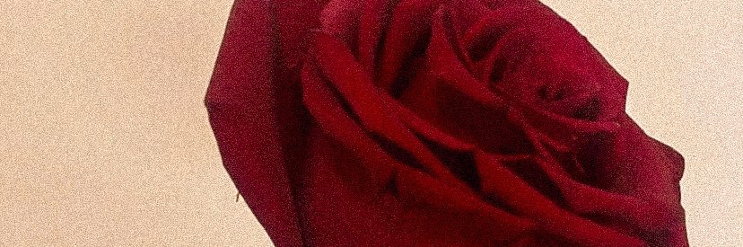 SABRINA banner