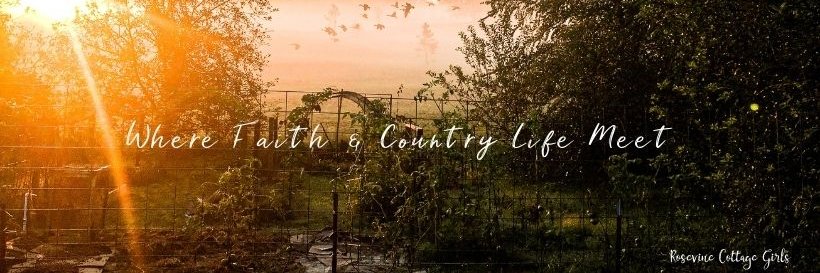 Rosevine Cottage Girls banner