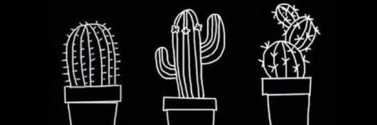 𝐶𝑎𝑐𝑡𝑢𝑠 🌵 banner