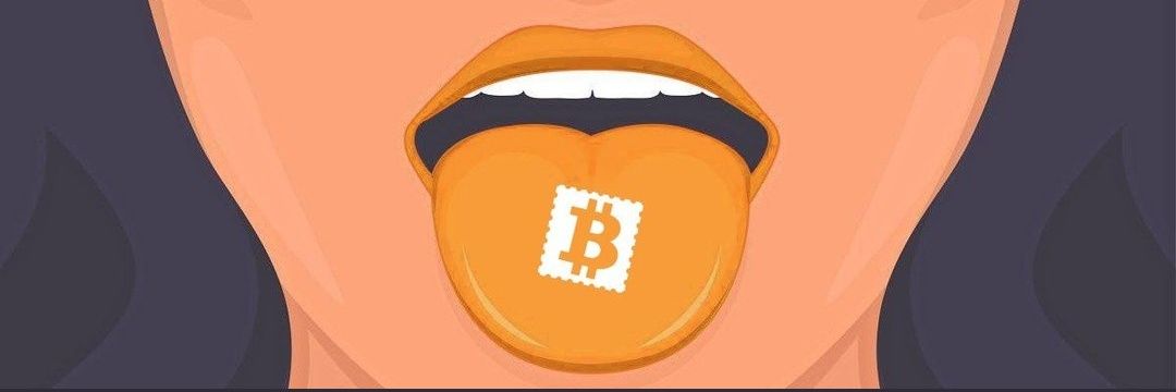 cryptounky's profile banner image