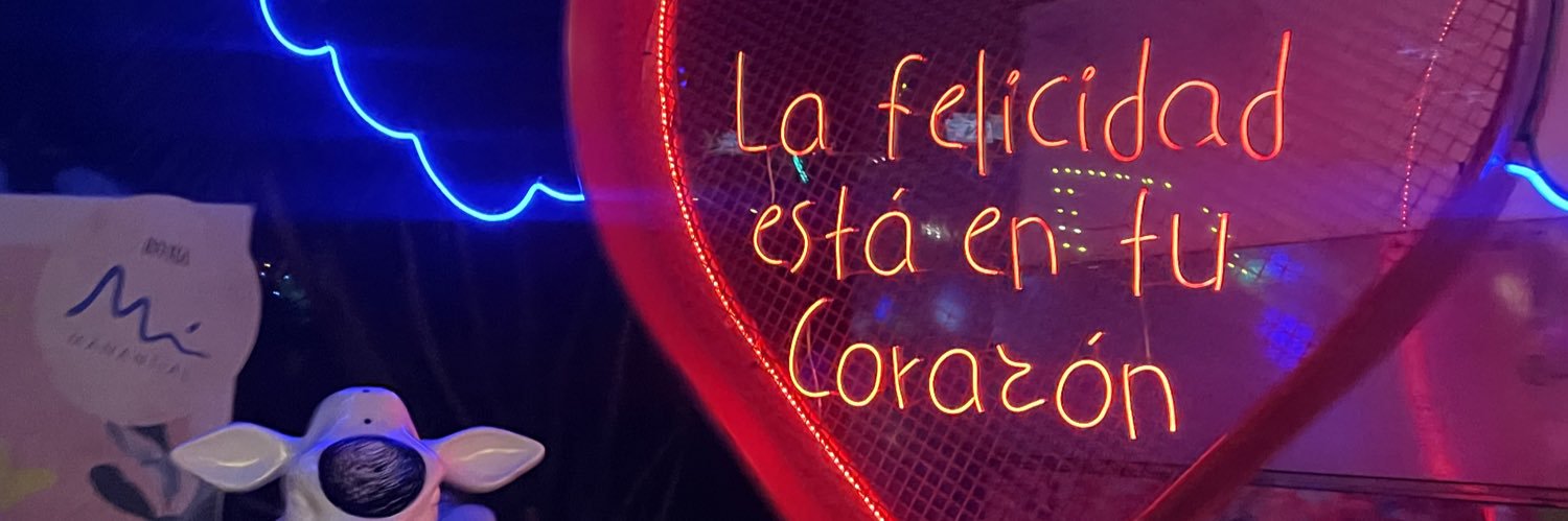 Toro1Meli's profile banner image