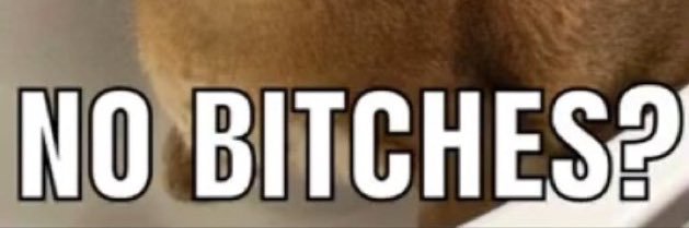 will_da_beast__'s profile banner image