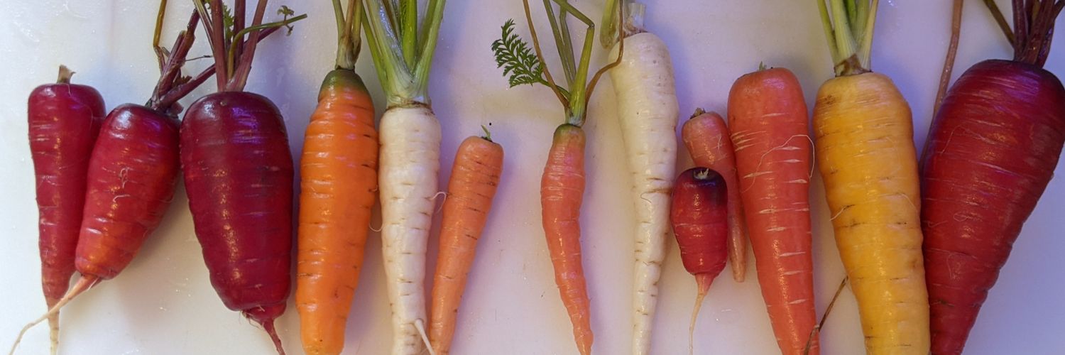 Chelsea O'Brien 🌷 banner