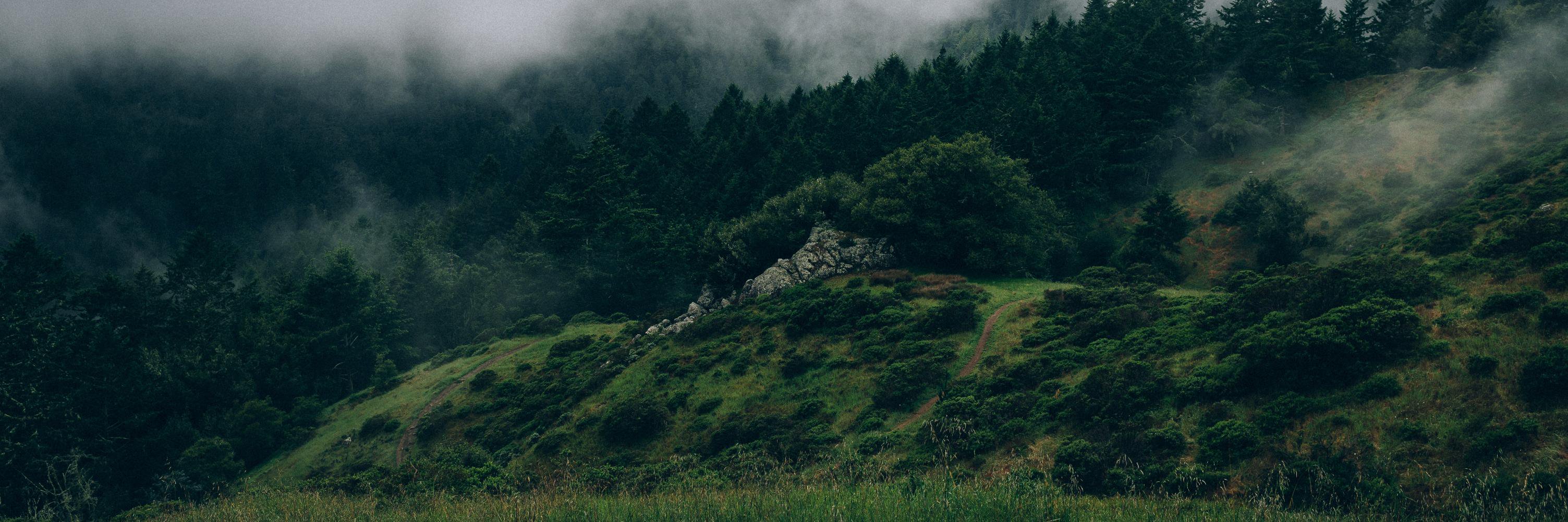 early_cross's profile banner image
