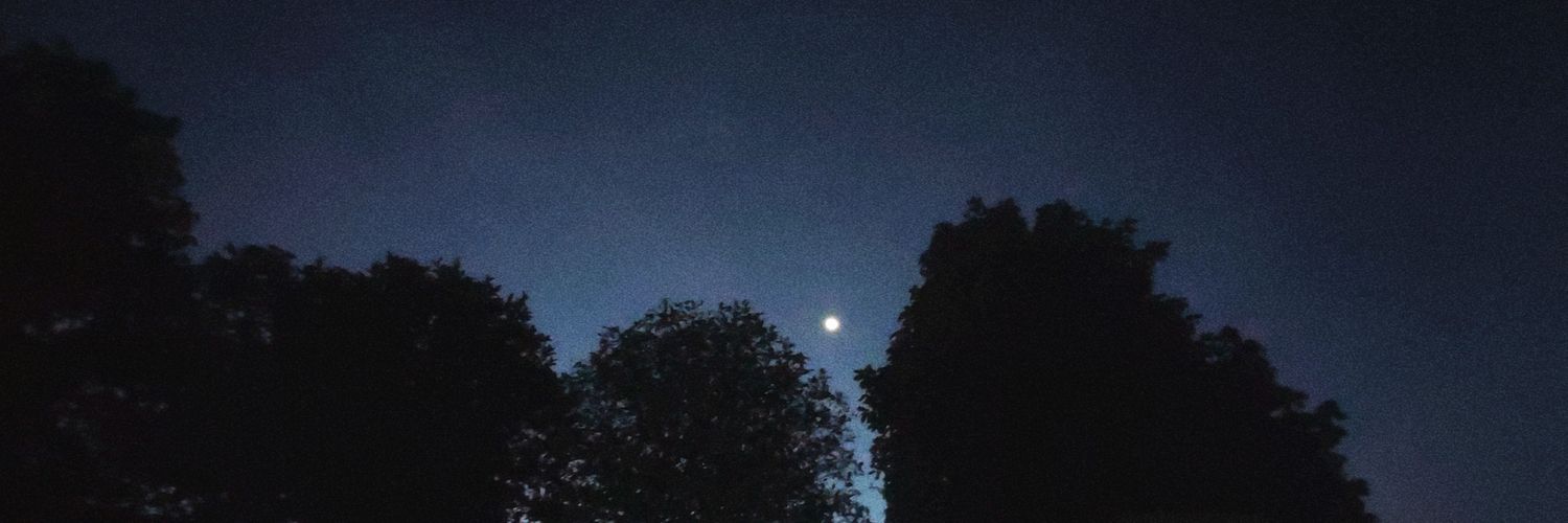 something_bad_X's profile banner image