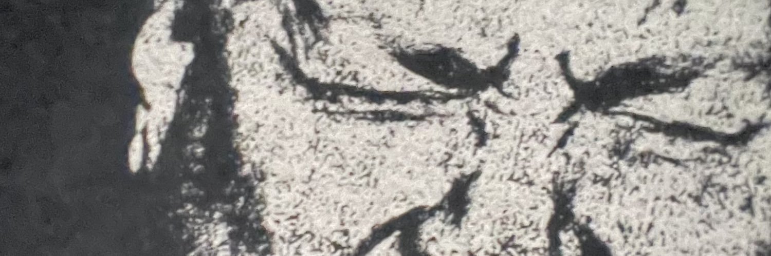 Julia Doyle banner