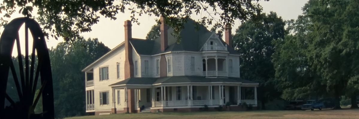 cooper🧟‍♀️ banner