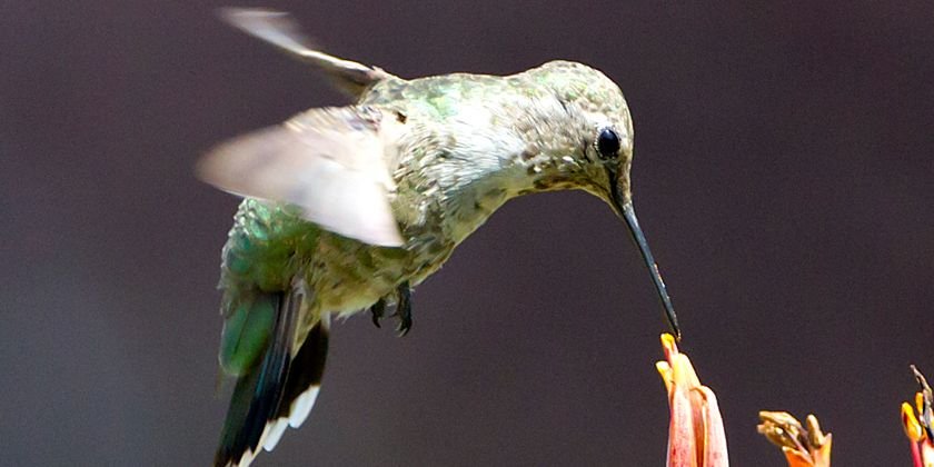 رسيل رامي banner