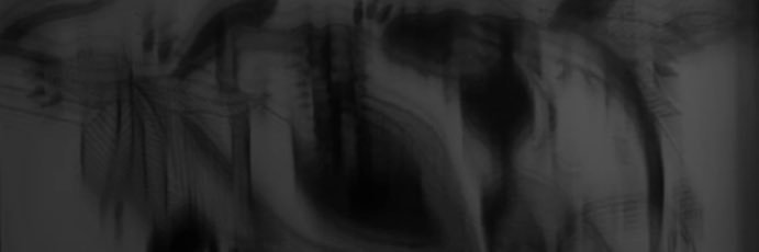 Ines Ojeda banner