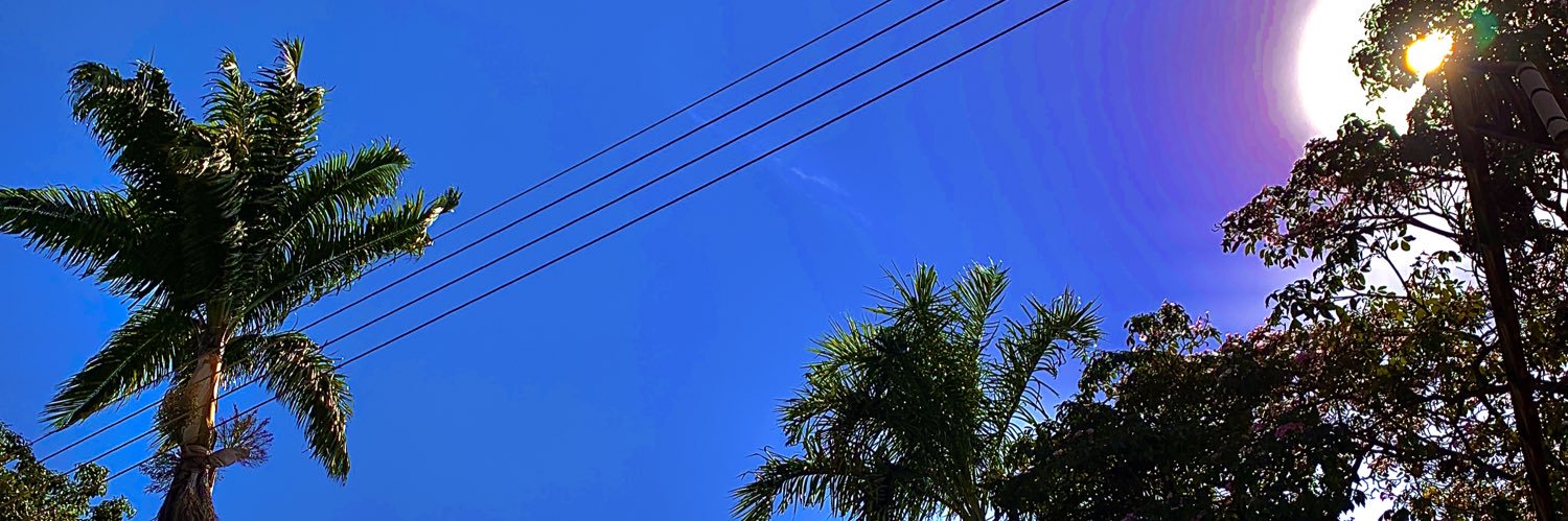 Scandolara010's profile banner image