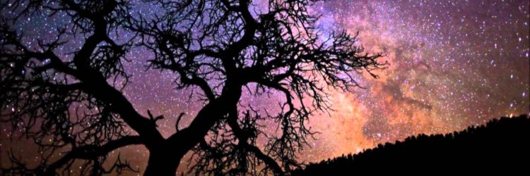 kittykatt1316's profile banner image