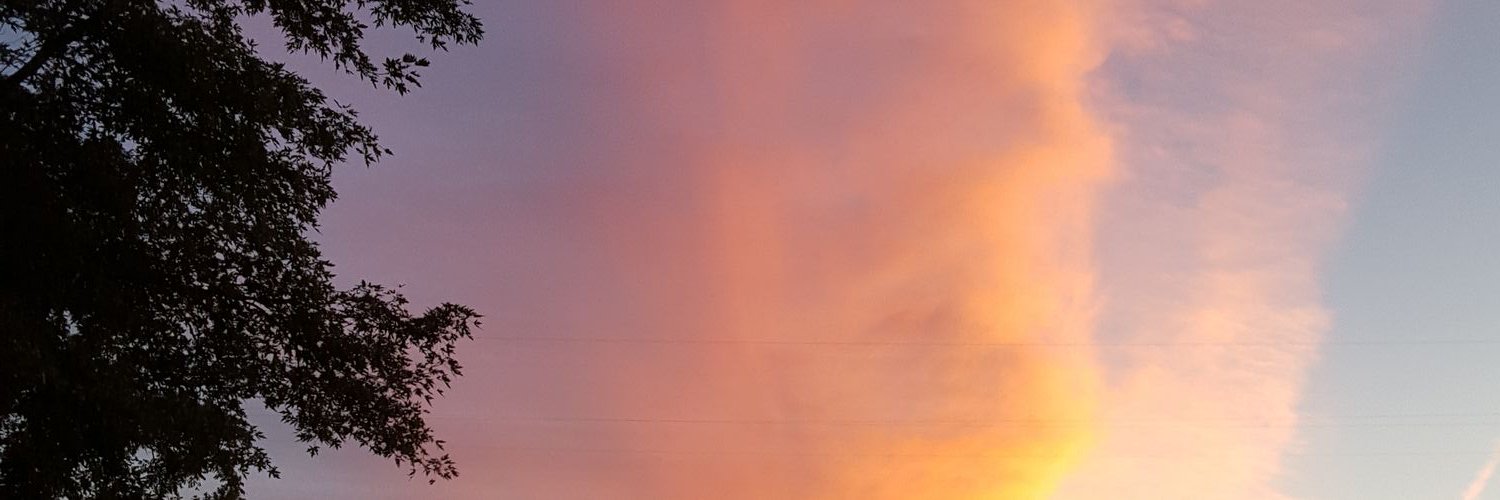 Alicia Marie banner