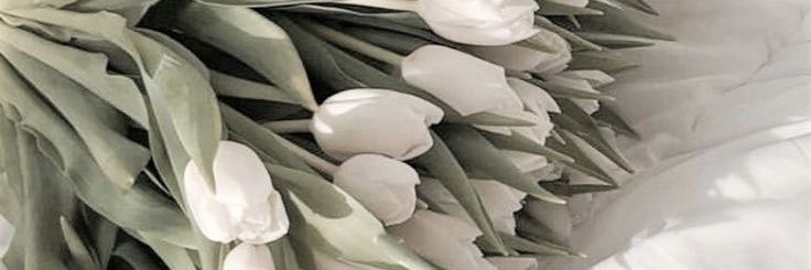 AmarillysK's profile banner image