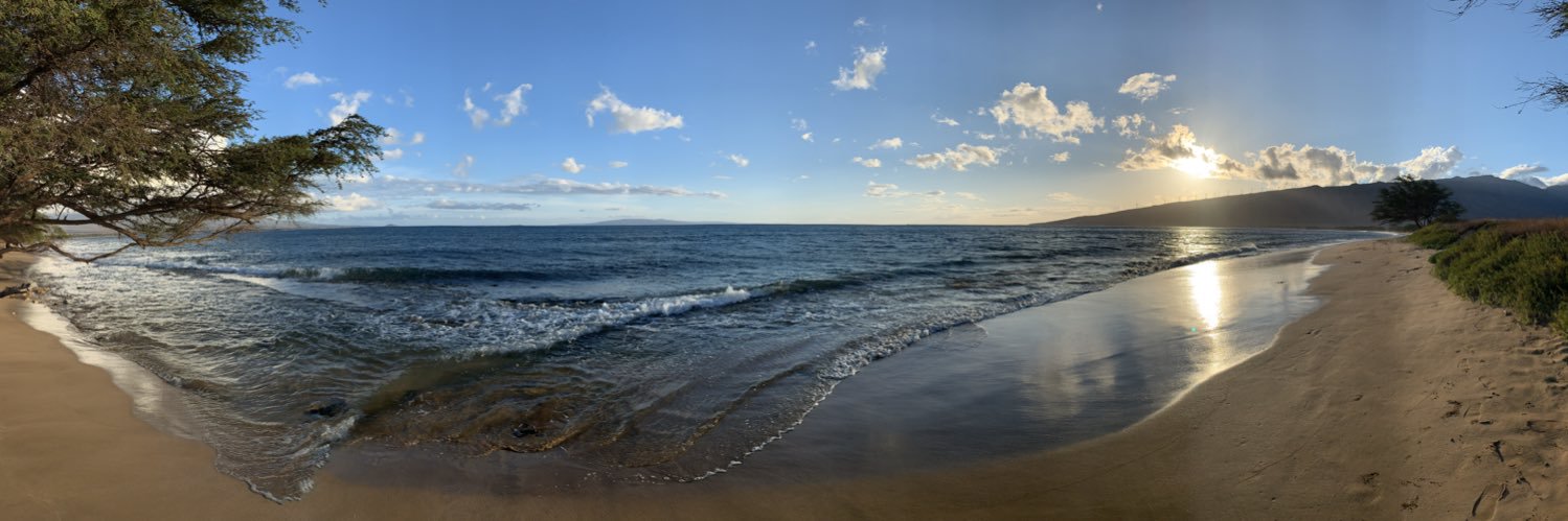 Chris Chesler banner