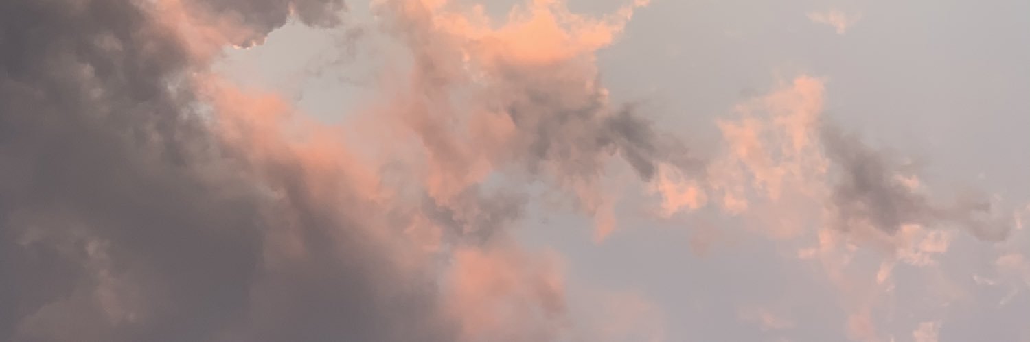 Danielle_Pezz's profile banner image