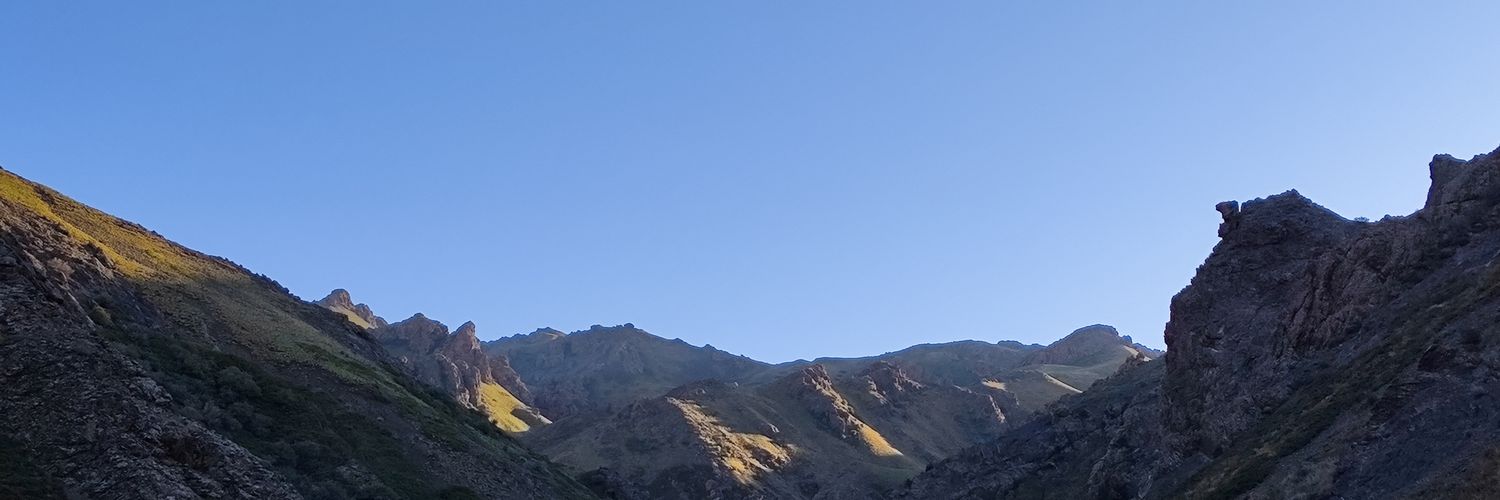 anar_ganbold's profile banner image