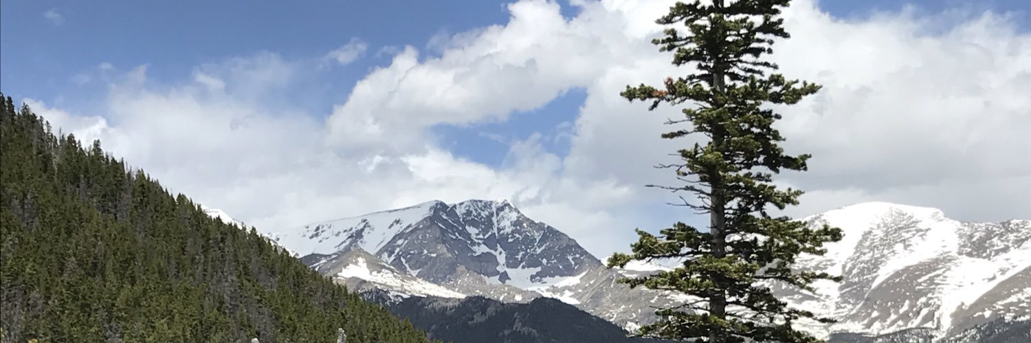 timmymiller91's profile banner image