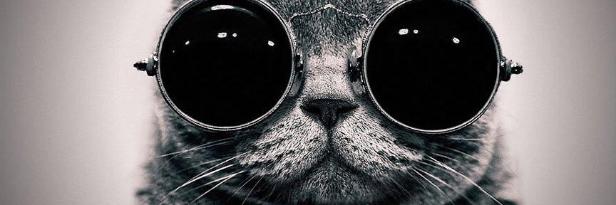 _QueenC97's profile banner image