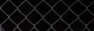 dallllia_'s profile banner image