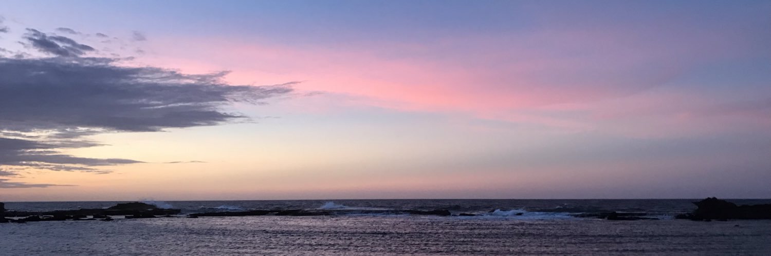 carolanel7's profile banner image