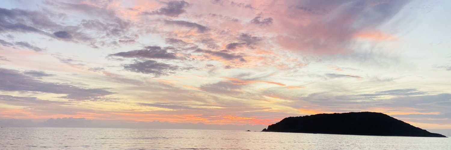 laura palacios banner