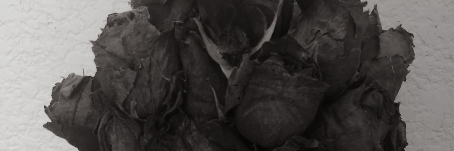 anthony_cabral1's profile banner image