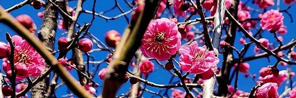 rmy7777's profile banner image