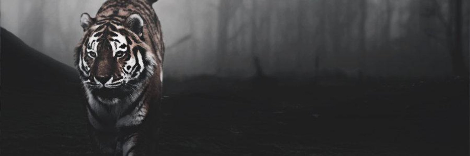 Mariavitona's profile banner image