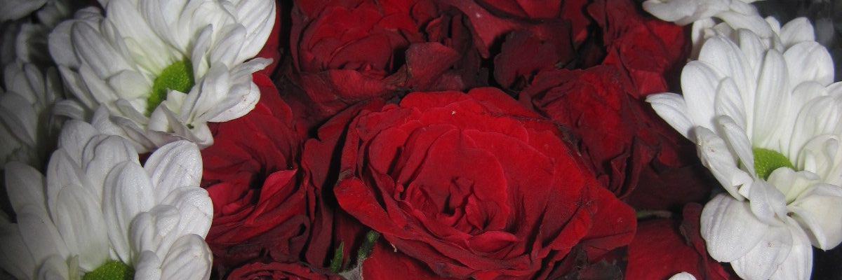AnggieeS_'s profile banner image