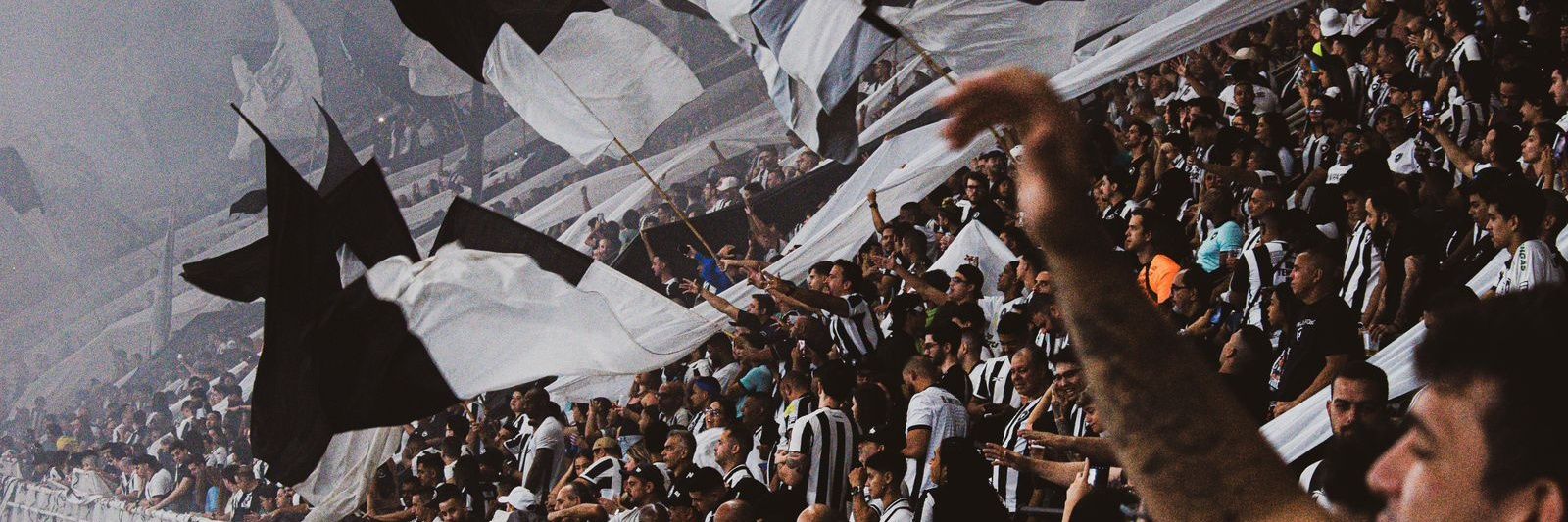 Gui Fernandes ★彡 banner