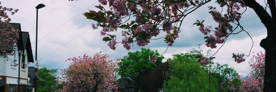 clouded_days's profile banner image
