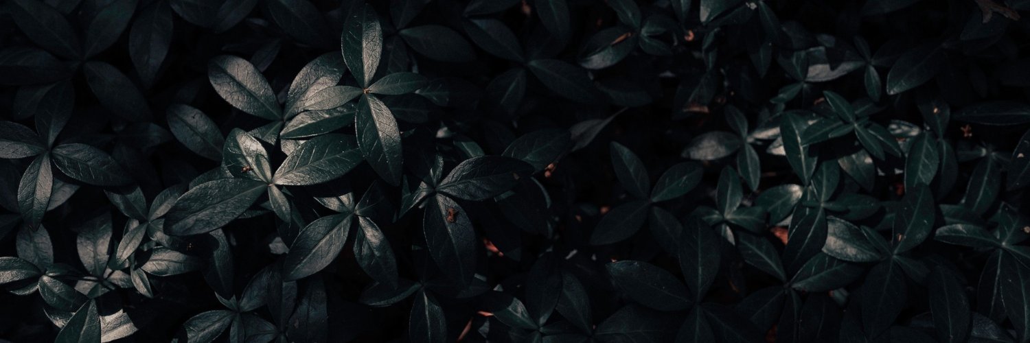 Chincha_exe's profile banner image