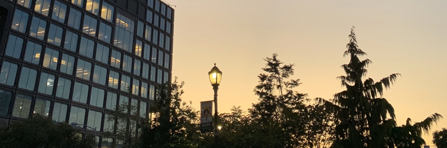 leslayip's profile banner image