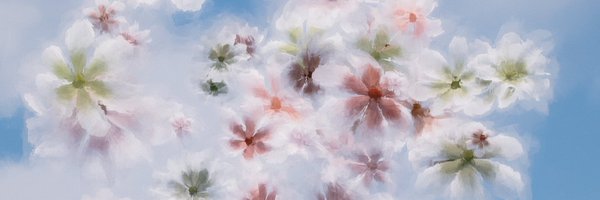 BoonaETH Profile Banner