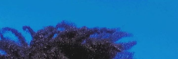 thelifeoface's profile banner image