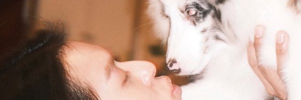 imergyboo Profile Banner