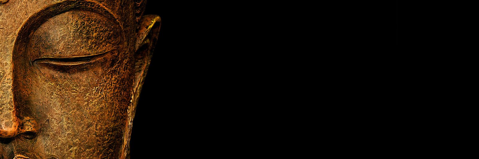 CryptoYog banner