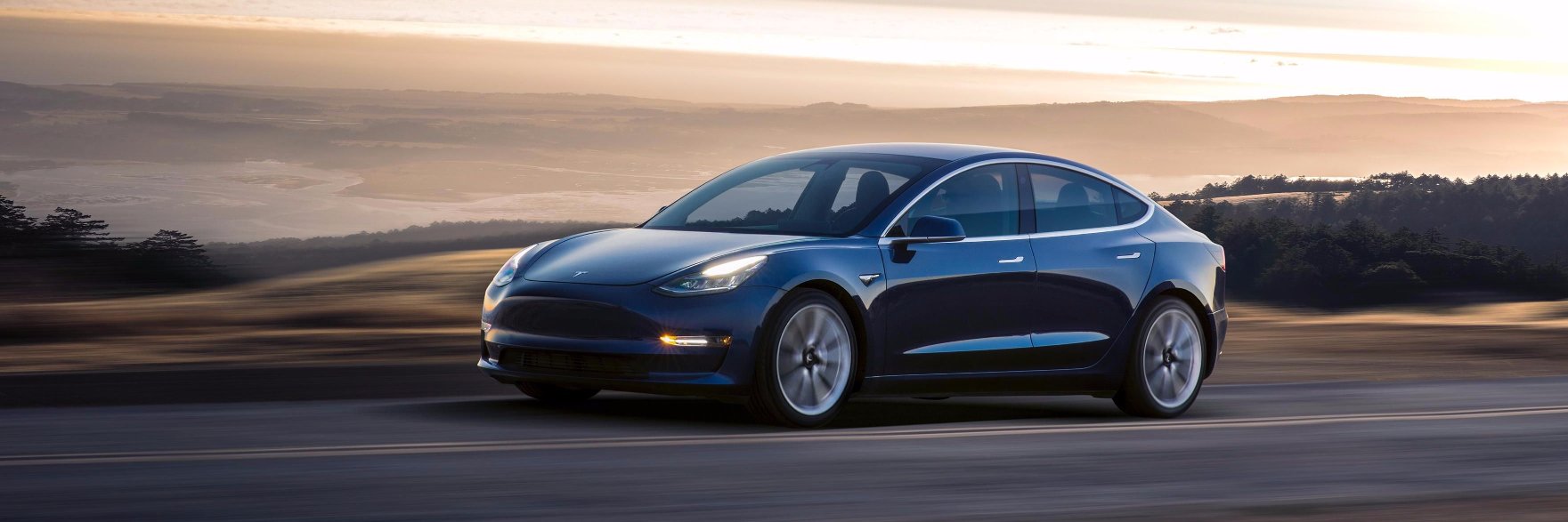 Model 3 VINs banner