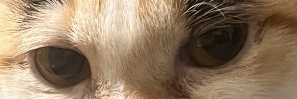 00_7ray Profile Banner