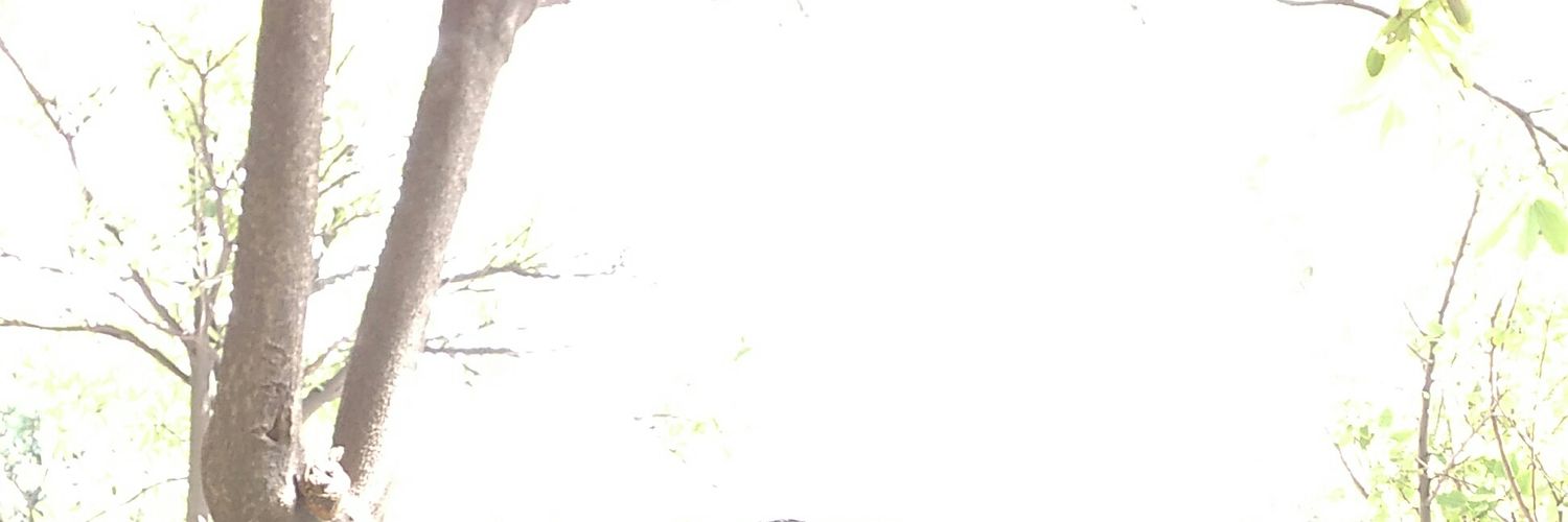 vikasyadav519's profile banner image