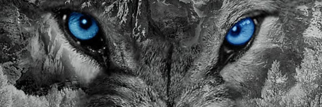 CountsBrad's profile banner image