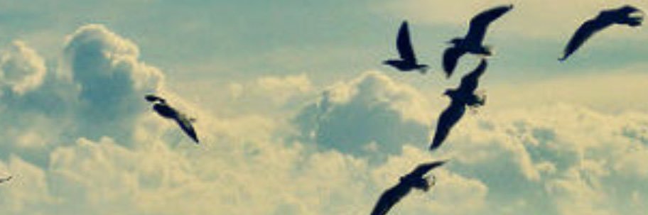 Alotaby_mutlaq's profile banner image