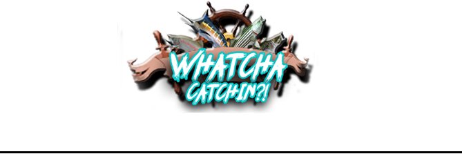 WhatchaCatchin's profile banner image