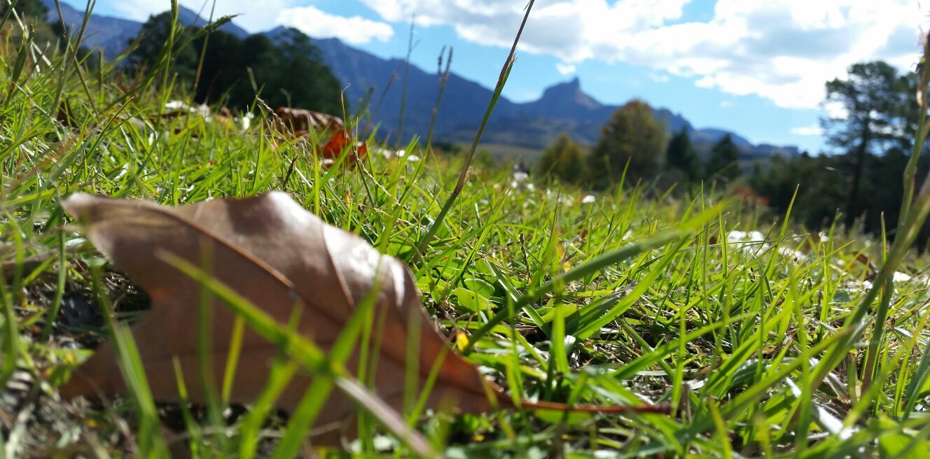 tparuk's profile banner image