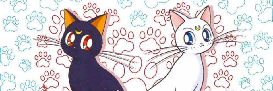 IbiteifIneed2's profile banner image