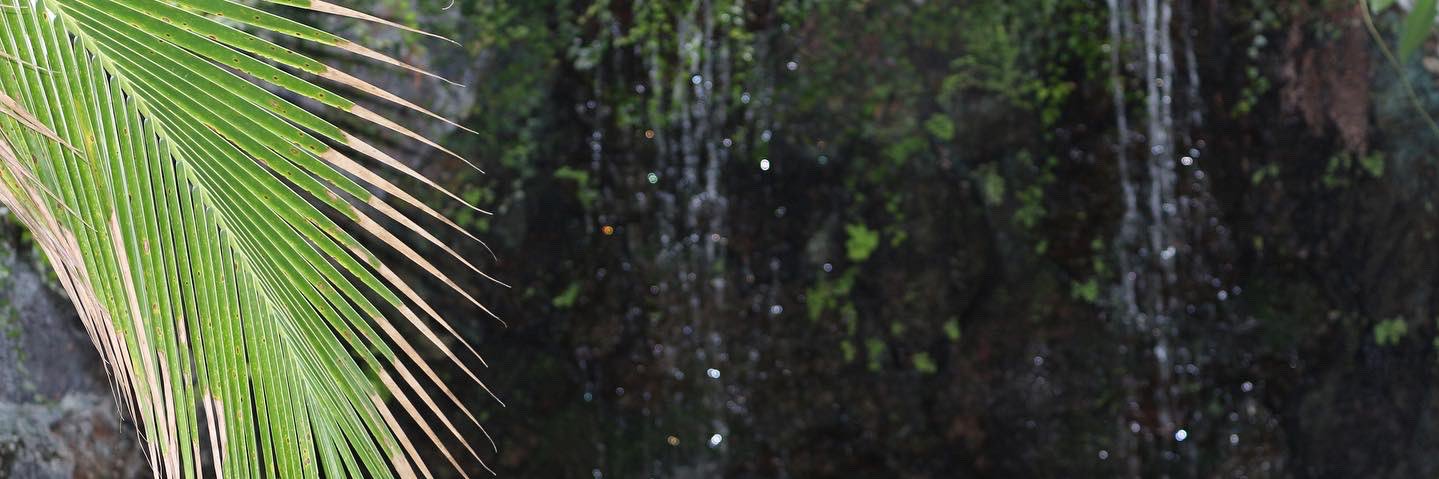 Dlawwd's profile banner image