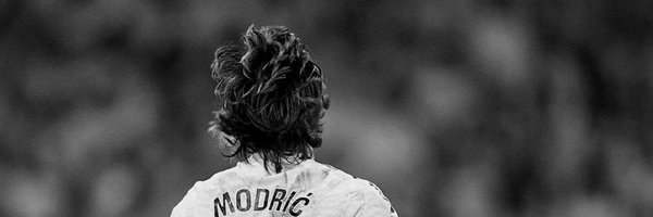 Mouca7 Profile Banner