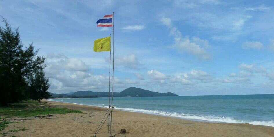 napat banner