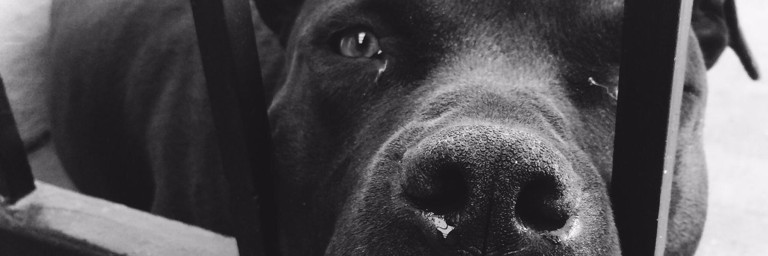 brendadc_'s profile banner image