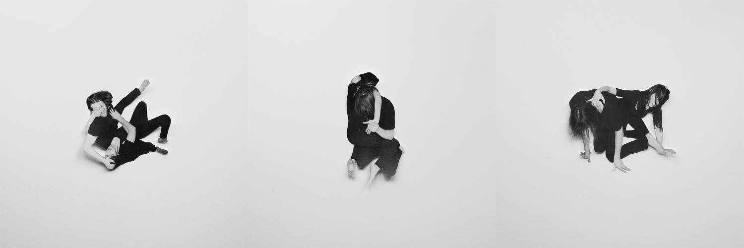 Wildbirds&Peacedrums banner